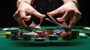 bookmaker